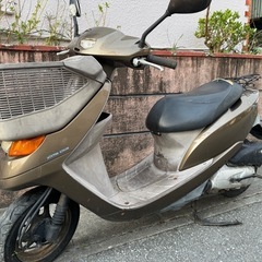 DIOチェスター