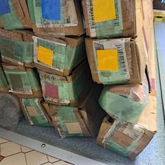 撮影用ロール紙 11m巻 1本～の画像