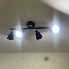 ニトリシーリングライト