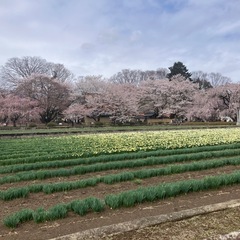 😊わくわく死生観塾😊
