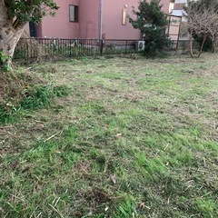 草刈り【相談無料】メッセージでのやり取り可。某サイト草刈り部門にて評価1位獲得実績有‼️ - 地元のお店