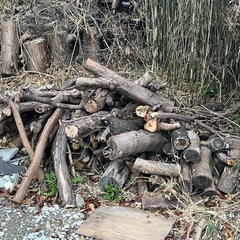 薪にいかがでしょうか。差し上げます！！の画像
