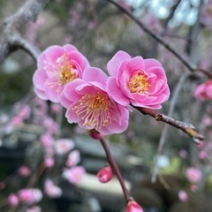 保育士資格の色々教えてください💦