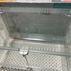 Glass Harmony 360 plus ハムスターケージの画像