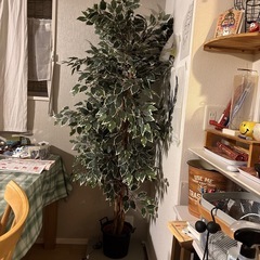 フェイクグリーン　観葉植物