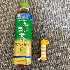 水中のなかまたち マスコット3 チンアナゴ　人気の画像