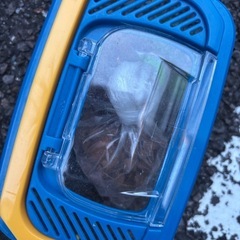 虫かご　土チップ　エサのセットの画像