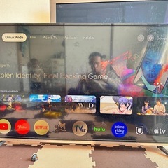 エルソニック テレビ 49V型 ジャンク
の画像