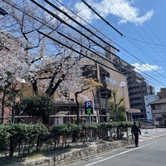 60歳からの「ゆるりんヨガ&美活クラブ」昭和生涯学習センターの画像