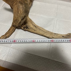 流木の画像