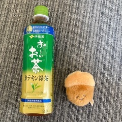 ぷあぷあ おーたむ どんぐり　ぬいぐるみ　人気の画像