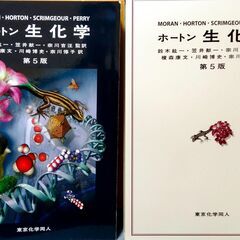 ホートン　生化学　第５版　東北大学で使用していた参考書　中古