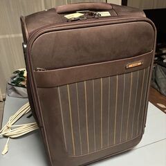 キャリーバック