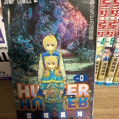 HUNTER×HUNTER 全巻　フィギュア　0巻 グッズ　セット売りの画像