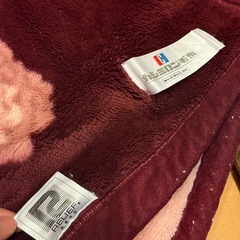 毛布　シングルの画像