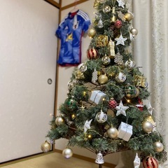 クリスマスツリーの画像