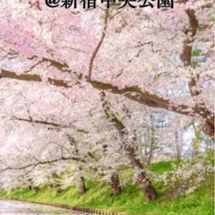 05日12時00分1000円花見