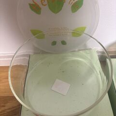 イワキガラスの耐熱ガラス 保存容器の画像