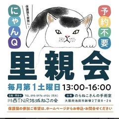 4月5日猫譲渡会in池田市　大阪