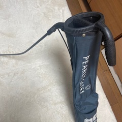 パーリゲイツセルフバックの画像