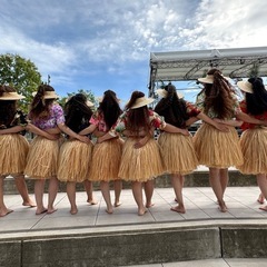 土曜午前フラダンス　無料体験会の画像