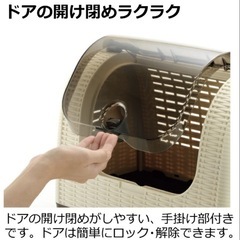 Richell リッチェル 犬 猫 ラタンキャリー  アイボリー  ケージの画像
