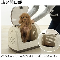 Richell リッチェル 犬 猫 ラタンキャリー  アイボリー  ケージの画像