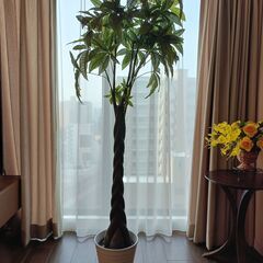  インテリア観葉植物パキラ( フェイク)