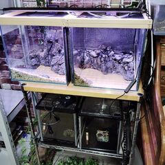 水槽とラック