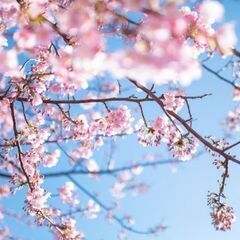 【歩く、話す】ウォーキング友達【女性限定】