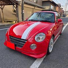 かなり値下げしました   これからの季節にどうですか