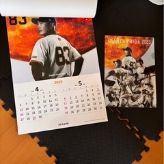 ２０２５年度４月始まりジャイアンツカレンダーとクリアファイルセットの画像
