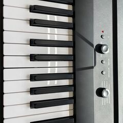 サマーセール！夏特価　レンタル(1年)戻り品　コルグ電子ピアノL1SP(ブラック）の画像