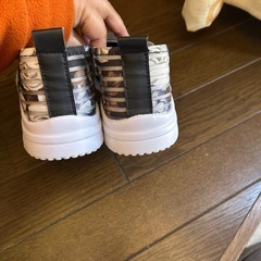 メッシュ靴の画像