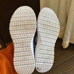 メッシュ靴の画像