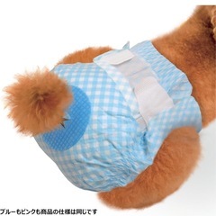 犬オムツの画像
