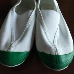 25.5cm 体育館シューズの画像