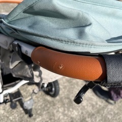 エアバギー　ココプレミアフロムバースの画像