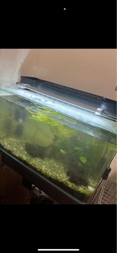 45cm 60cm水槽　フルセット