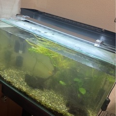 45cm 60cm水槽　フルセット