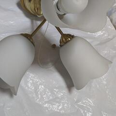 KOIZUMI白熱灯器具の画像