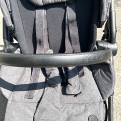 サイベックスCYBEXメリオカーボンの画像