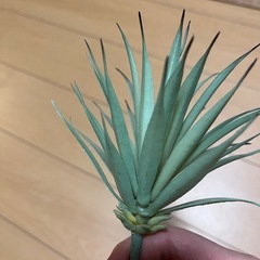 観葉植物　フェイクグリーン　2つの画像