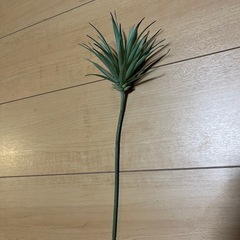 観葉植物　フェイクグリーン　2つの画像