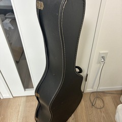 アコギケースの画像