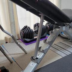 Bowflex(ボウフレックス) 5.1 アジャスタブルベンチ 6段階 の画像