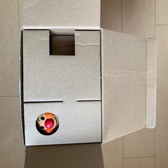 ピカっとしんだん　アンパンマンのげんきひゃくばいびょういんの画像