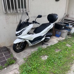 ✨値下げしました✨PCX 160 ✨ 今週購入する方は40万✨