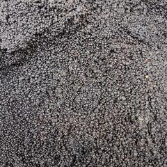 熱帯魚　ソイルブラック中古品10kgの画像