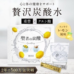 聖者の炭酸【純国産】重曹クエン酸水用 食用重曹×食用クエン酸 各30包の画像